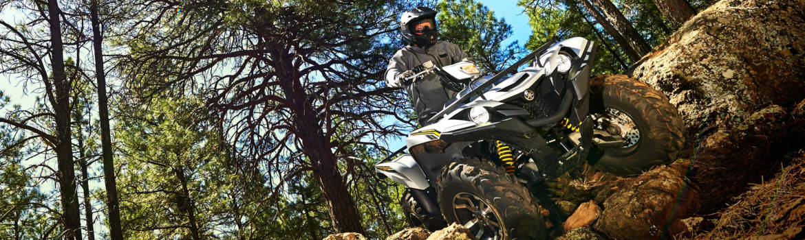 2017 Yamaha Grizzly for sale in Spectra Power Sports, Williams Lake, British Columbia